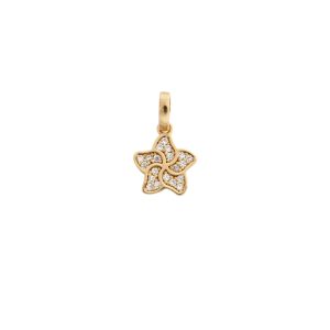 Medalha de Ouro Estrela
